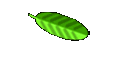 BellaVista