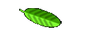 Burgblick