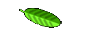 La Familia