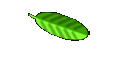 Moselferien