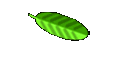 Service