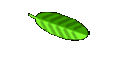 Veranstaltungen